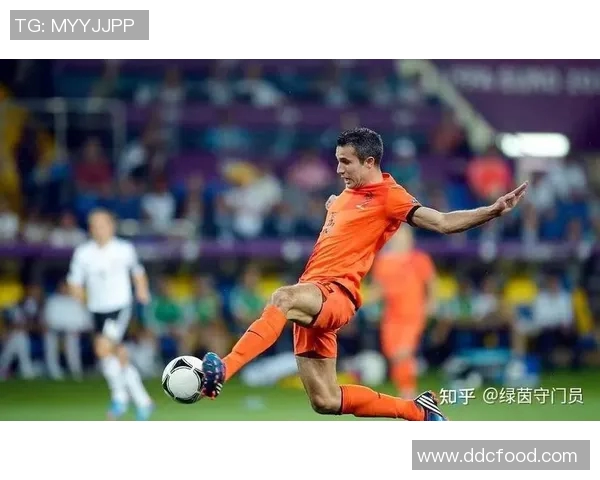 足球明星成名之路的精彩故事与成长经历全解析